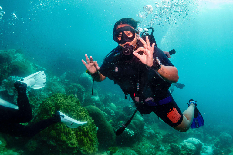 Ko Tao: Try Scuba Diving 1-Day Experience