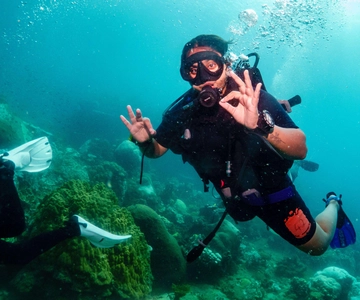 Ko Tao: Probeer duiken 1 dag