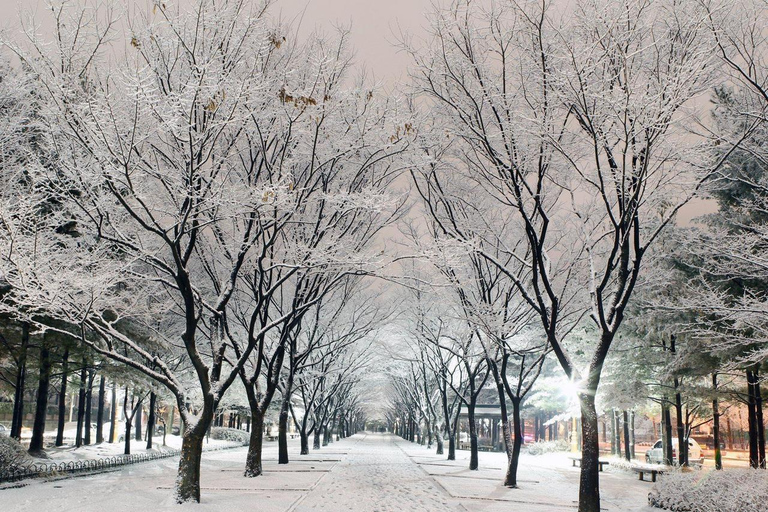 Seoul: Private Luxury Scenic Escape | Beyond Nami Island