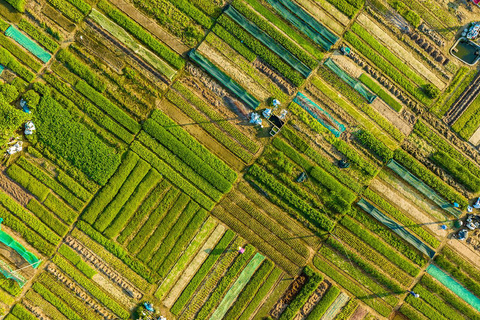 From Hoi An: Half-Day Tra Que Vegetable Village Bike TourPrivate Tour