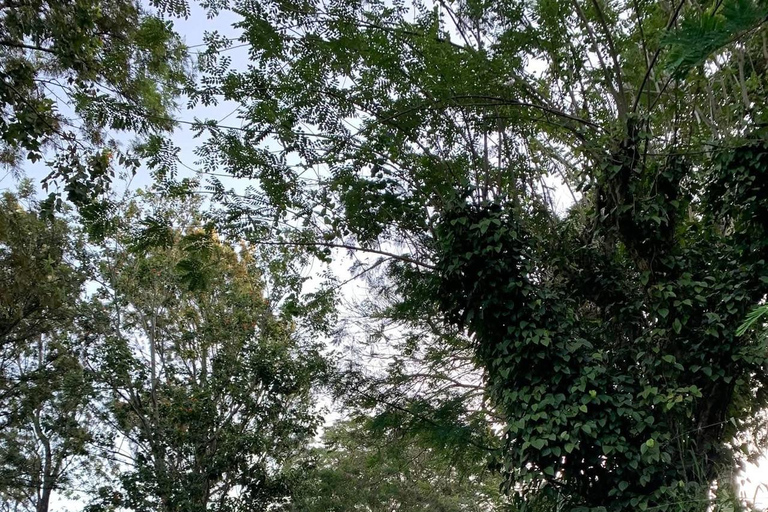 Kandy: Hidden Highlands Nature Walk