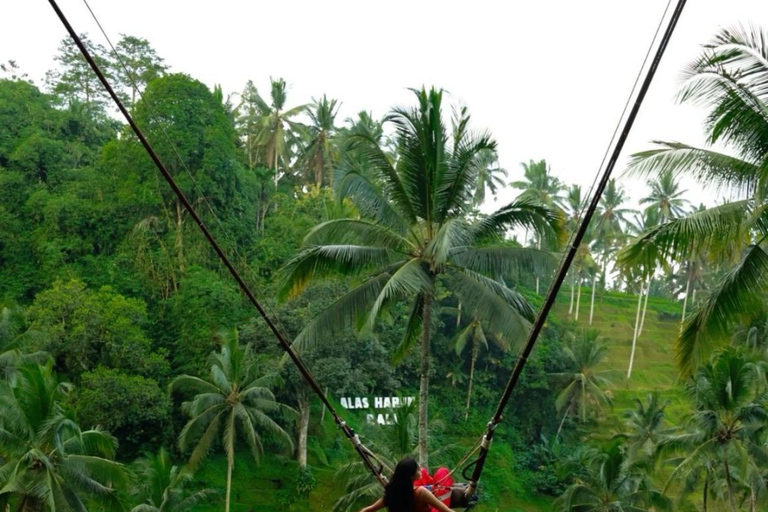 Ubud: ATV, Rafting, Jungle Swing, and Balinese Massage ATV with Transfer