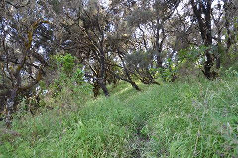 Ethiopia: 21 - Day North and South Tour with guide