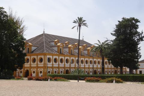 Seville: Day Trip to Cádiz and Jerez de la Frontera