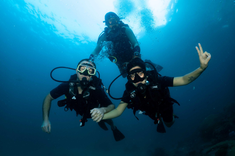Try Dive Excursion for Beginners: Phi Phi Island