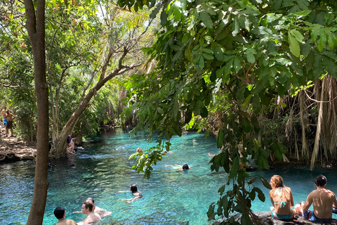 Arusha : excursion d'une journée aux sources chaudes de Kikuletwa avec transport