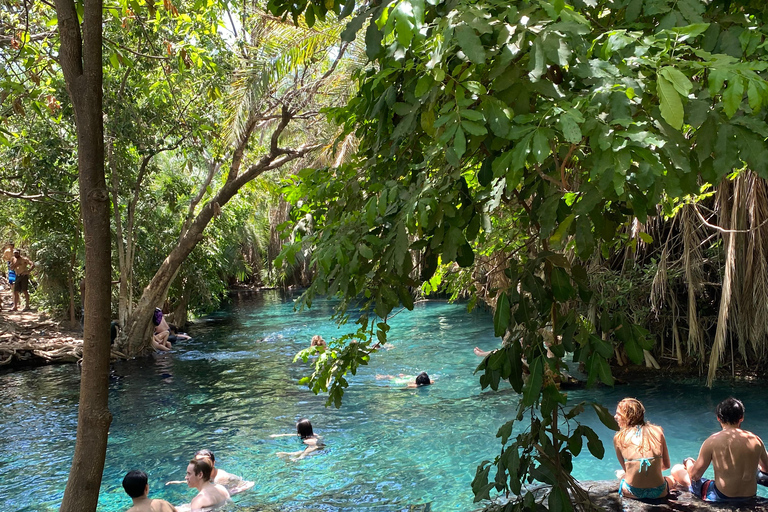 Arusha : excursion d'une journée aux sources chaudes de Kikuletwa avec transport