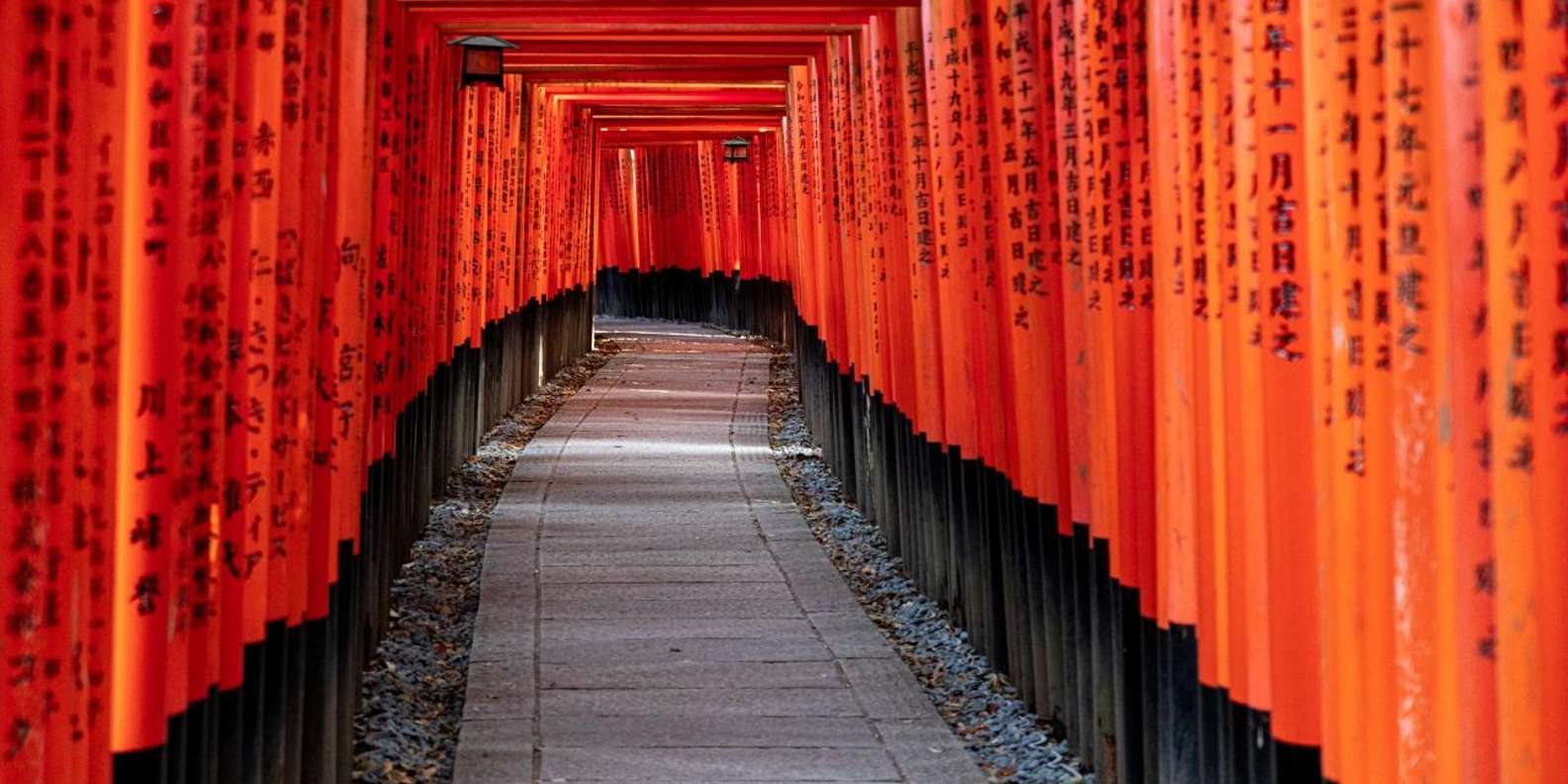 Kyoto experience — temples, geisha, bamboo grove — image 30