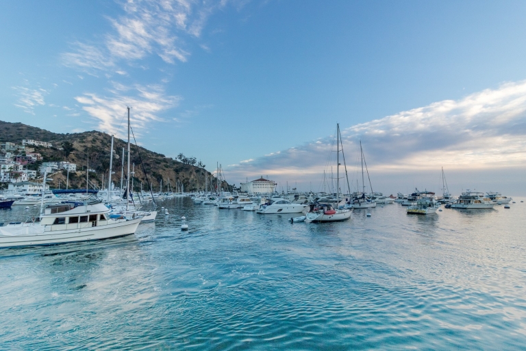 Punta Cana: Ganztägige Bootsfahrt zur Insel Catalina mit MittagessenTour auf Spanisch