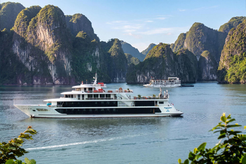 Ha Long Bay Day Tour by 6-Star Sea Octopus President Cruise Sea Octopus President: Explore Ha Long Bay with Buffet Lunch and Pool
