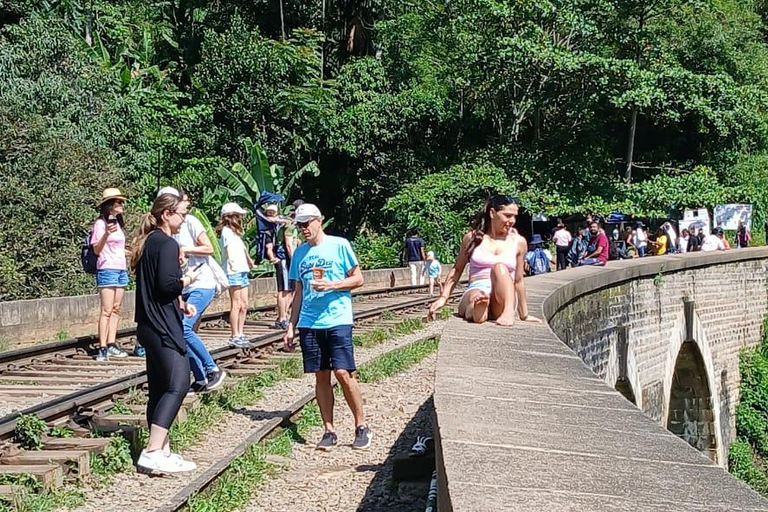 ELLA Lipton Seat Tea Test & Pluck 9Arch, Waterfalls, & Food Lipton's Seat, Little Adam Peak, 9 Arch, Ravana Waterfalls