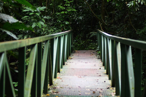 Parque Nacional de Carara: Mejor excursión Parque Nacional de Carara - Un día