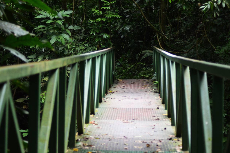 Parque Nacional de Carara: Melhor Tour Parque Nacional de Carara - Um dia