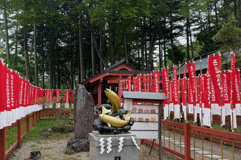 Tokyo: Nikko Private Day Tour with Pickup