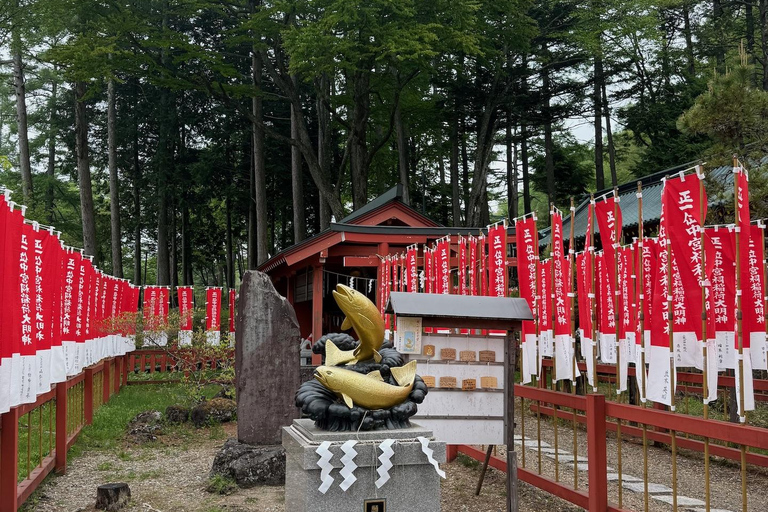 Tokyo: Nikko Private Day Tour with Pickup