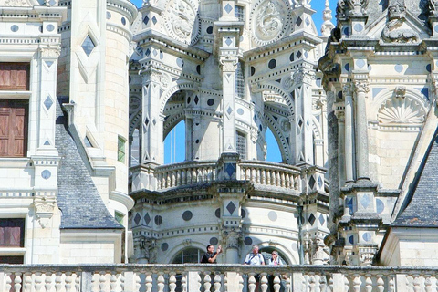 From Paris: Castle of Chambord & Lavender fields Day Trip