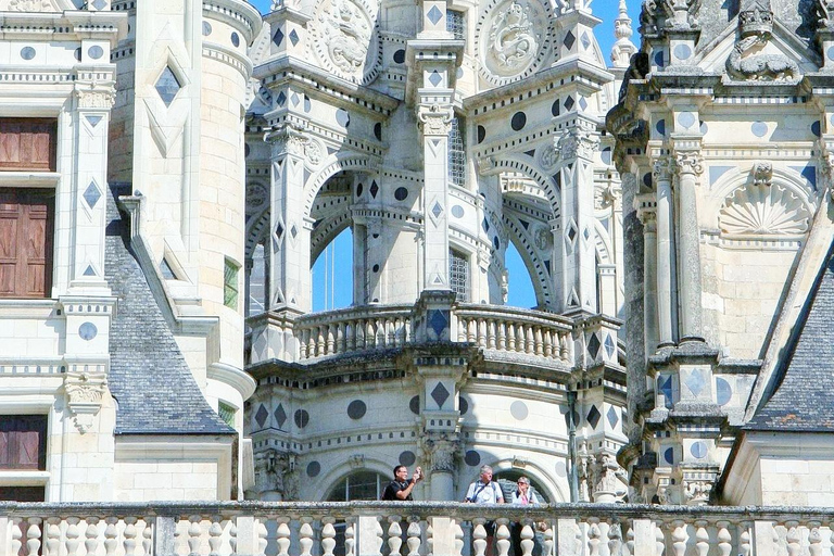 From Paris: Castle of Chambord & Lavender fields Day Trip