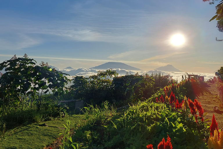 Magelang: Silancur Highland Sunrise & Sukomakmur Tour