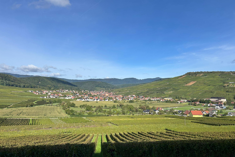 Alsace: Private Wine Tour with Tastings and Transfers Half Day Tour