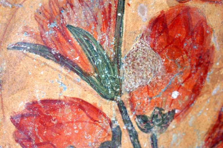 Sigiriya Rock Art Experience by Tuk Tuk