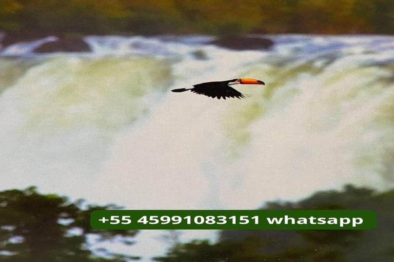 Tour Cataratas del Iguazú en Brasil y Argentina, 1 día.Excursión de un día, ambos lados de las Cataratas en 1 día.