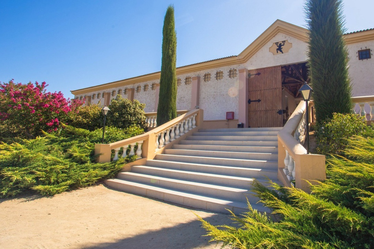 Estancia El Cuadro: Private Wine Tour in Casablanca Valley El Cuadro: Private Wine Tour with History in Casablanca Valley