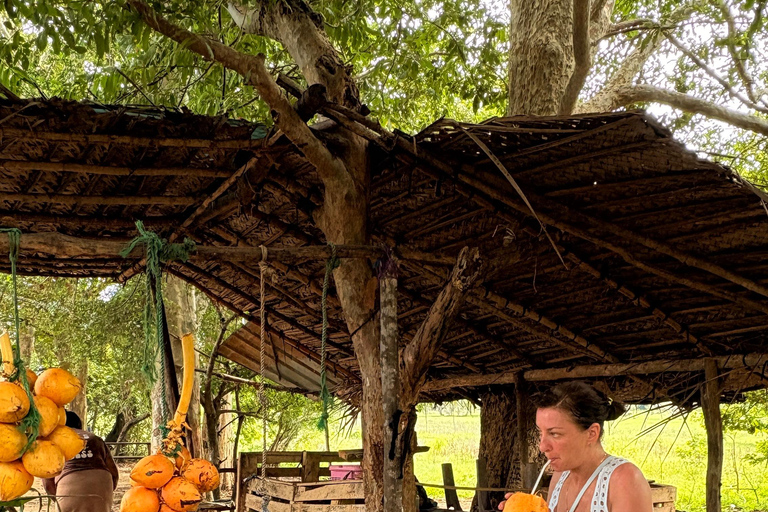 SriLanka: Galle Day Tour With Private Airport Transfers