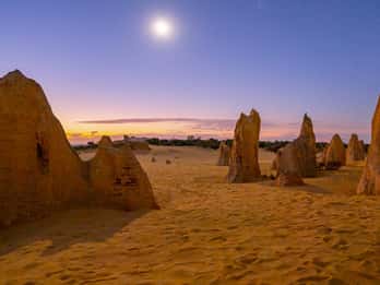 From Perth: Pinnacles Sunset and Stargazing Tour with Dinner