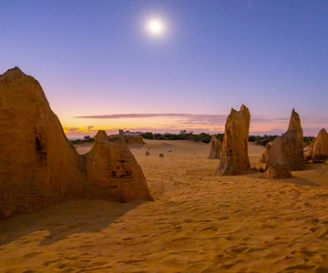 From Perth: Pinnacles Sunset and Stargazing Tour with Dinner