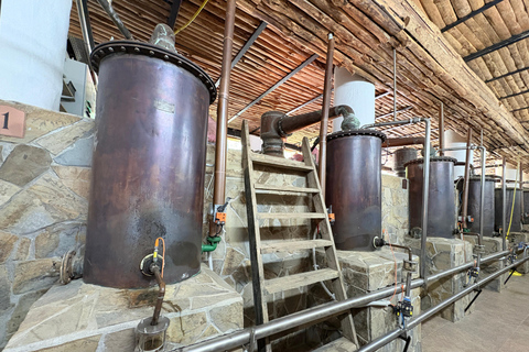 From Plovdiv: Rose Valley & Thracian Kings’ Tombs Day Trip