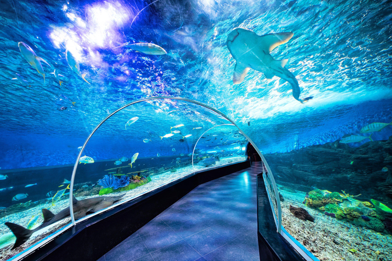 Ocean Park and Philippine Biodome Entry Ticket
