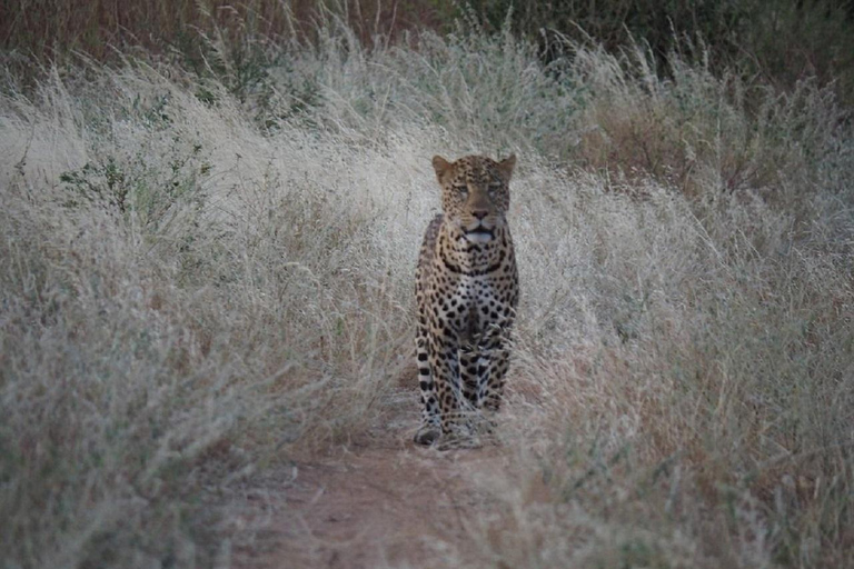 Nairobi: 3-Day Samburu National Reserve Safari Tour