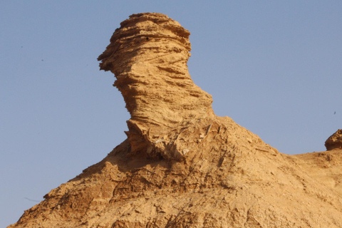 Von Djerba: 2-tägige Tour nach Tozeur, der Bergoase Matmata