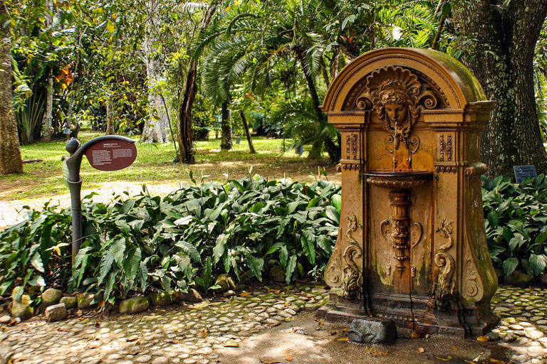 Rio de Janeiro: Wycieczka jeepem po ogrodzie botanicznym i lesie TijucaZ hoteli strefy południowej: Francuskojęzyczne