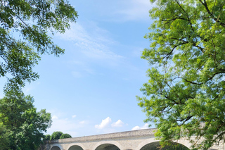 Jarnac: passeggiata sportiva, crociera con degustazione e visita a un produttore