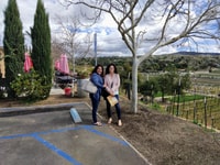 Temecula, Tour to 2-3 Temecula Wine Country Wineries - Housity