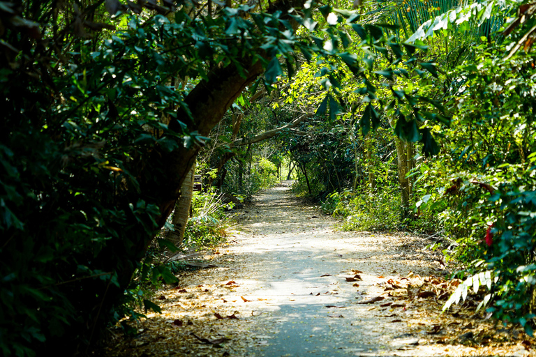 Bangkok Green Oasis Nature Bike Tour