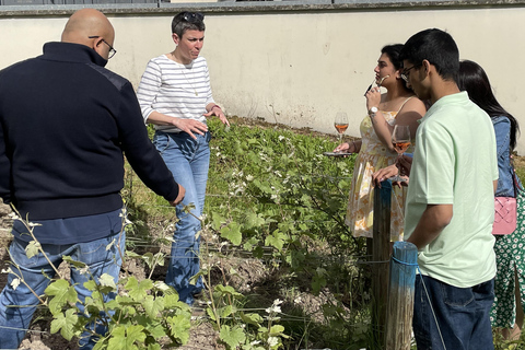 Champagne Munoz Bruneau : Half Day Visit and Tasting