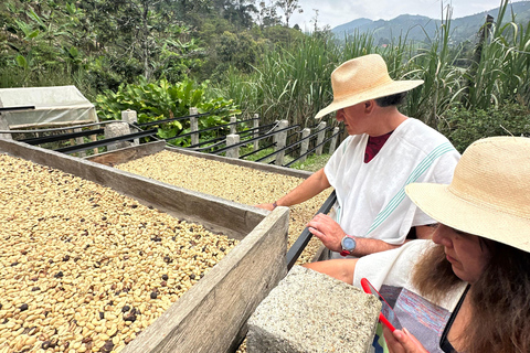From Medellín: Coffee Farm Hiking & Exotic Fruit Marketplace