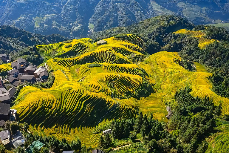 Guilin: Longji Terraces, Yao Village, & Jinkeng join in Tour