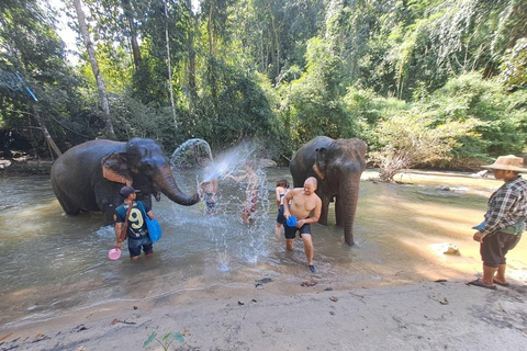 Chiang Mai: 2-Day Jungle Trek with Elephant Farm & Raft Ride Hotel Pickup and Drop-off (within Pickup Area)