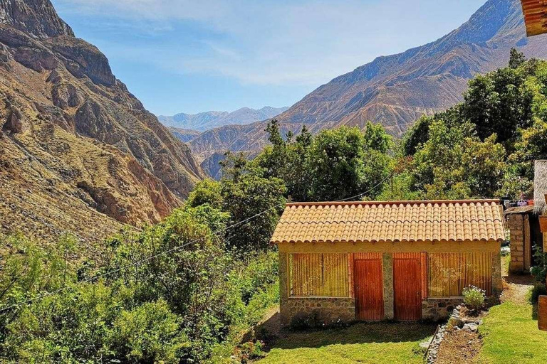 Wandeling in de Colca Canyon in Arequipa 2D/1N