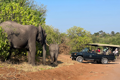 Chobe Day Safari i safari łodzią z Wodospadów Wiktorii - 8 godz.