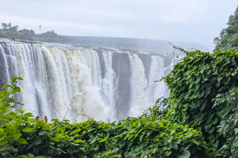 Livingstone: Victoria Falls Zambia Side Guided Tour