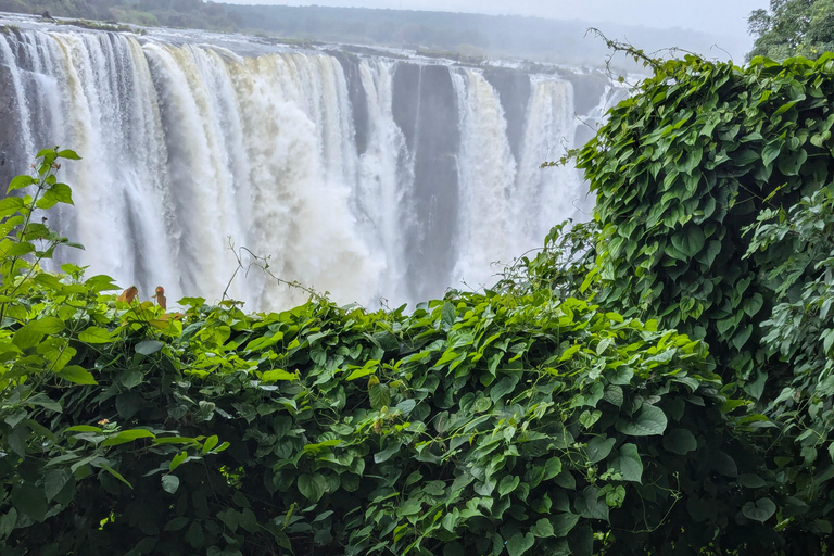 Livingstone: Victoria Falls Zambia Side Guided Tour