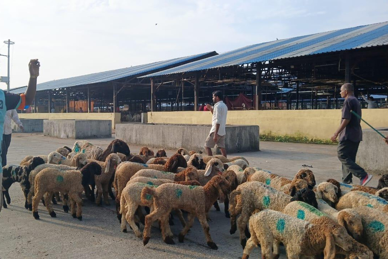 Bombay: Visita guiada al Matadero de Deonar