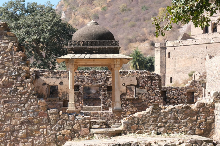 Jaipur: Deepest step well in India & Haunted Fort Day Trip