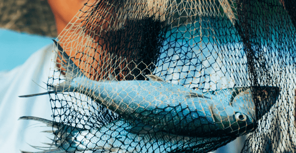 PALAWAN: El Nido Fishing Tour with Local Fishermen PRIVATE