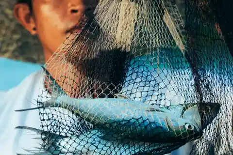 PALAWAN: El Nido Fishing Tour with Local Fishermen PRIVATE
