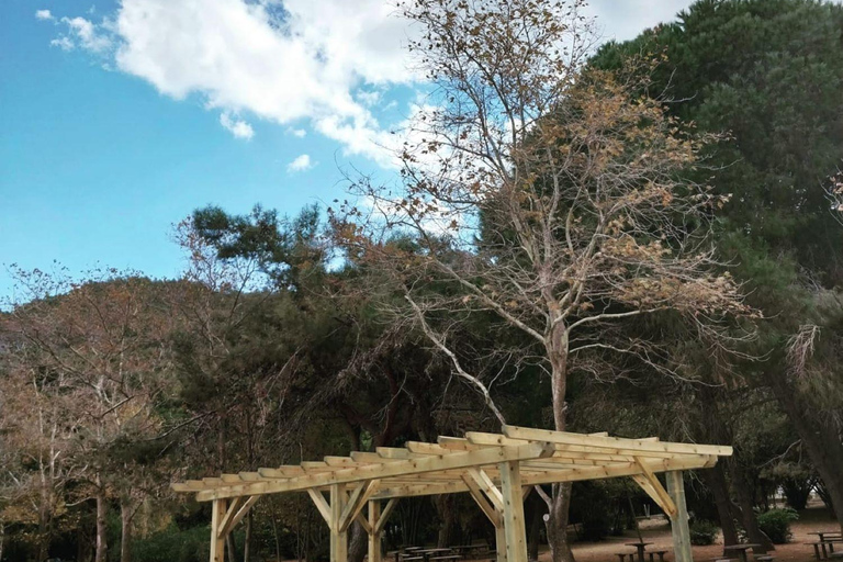 Kusadasi National Park Shinrin Yoku Tour